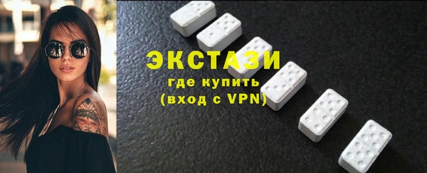 молекула духа Богданович