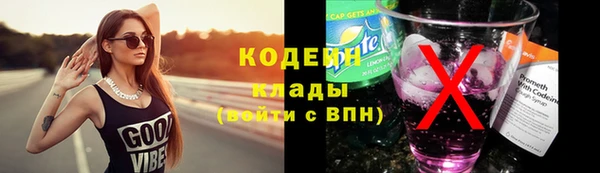 молекула духа Богданович