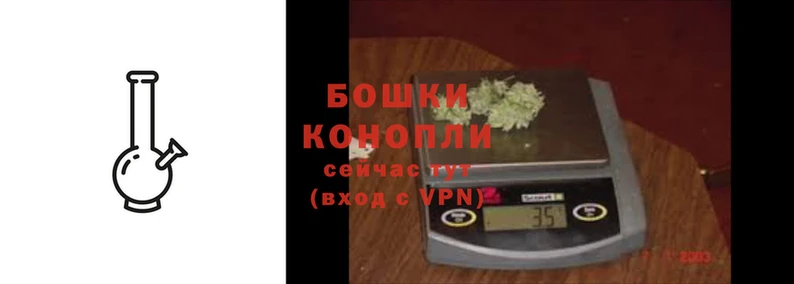 молекула духа Богданович