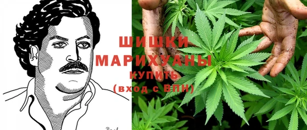 mdpv Богородицк