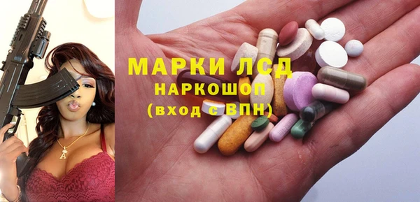 молекула духа Богданович